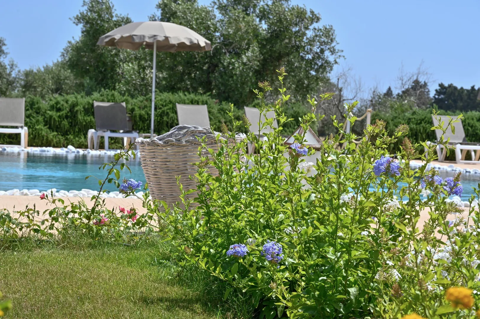 Masseria Residence Livantea afbeelding 4