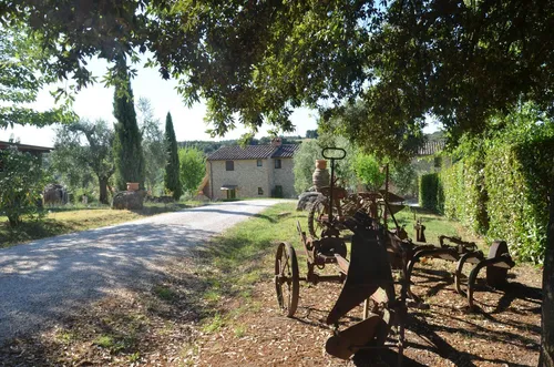 Panelios Borgo Vacanze - Experiences 6