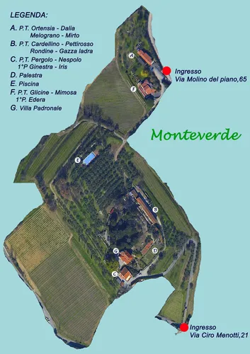 Plattegrond Agriturismo Monteverde