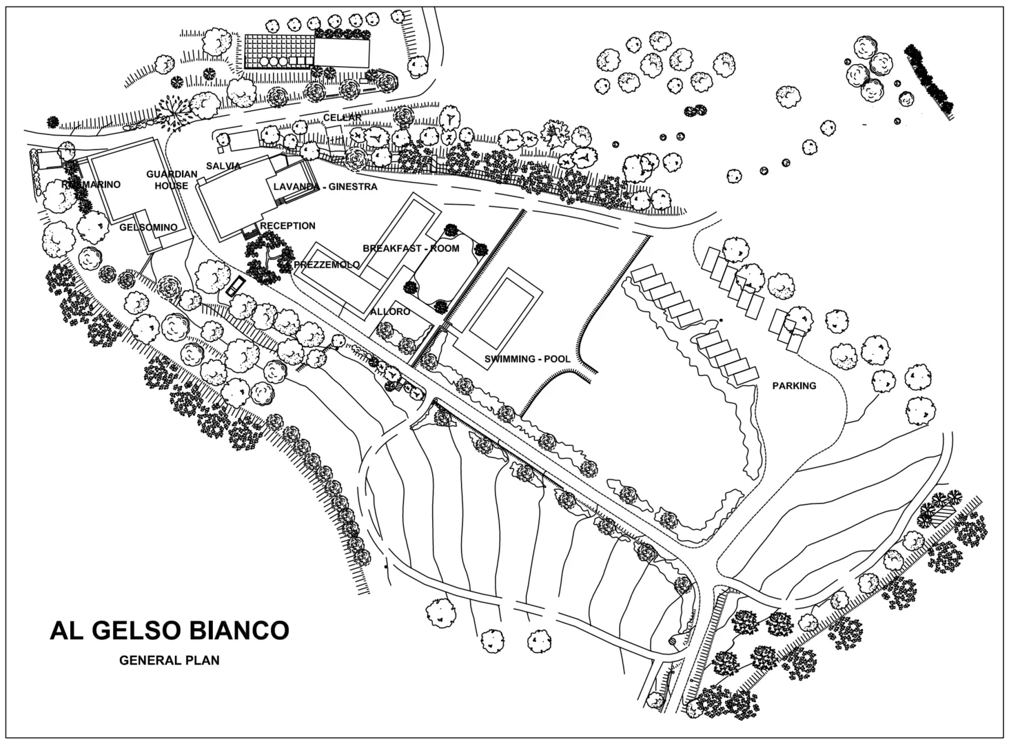 Agriturismo Al Gelso Bianco afbeelding 4