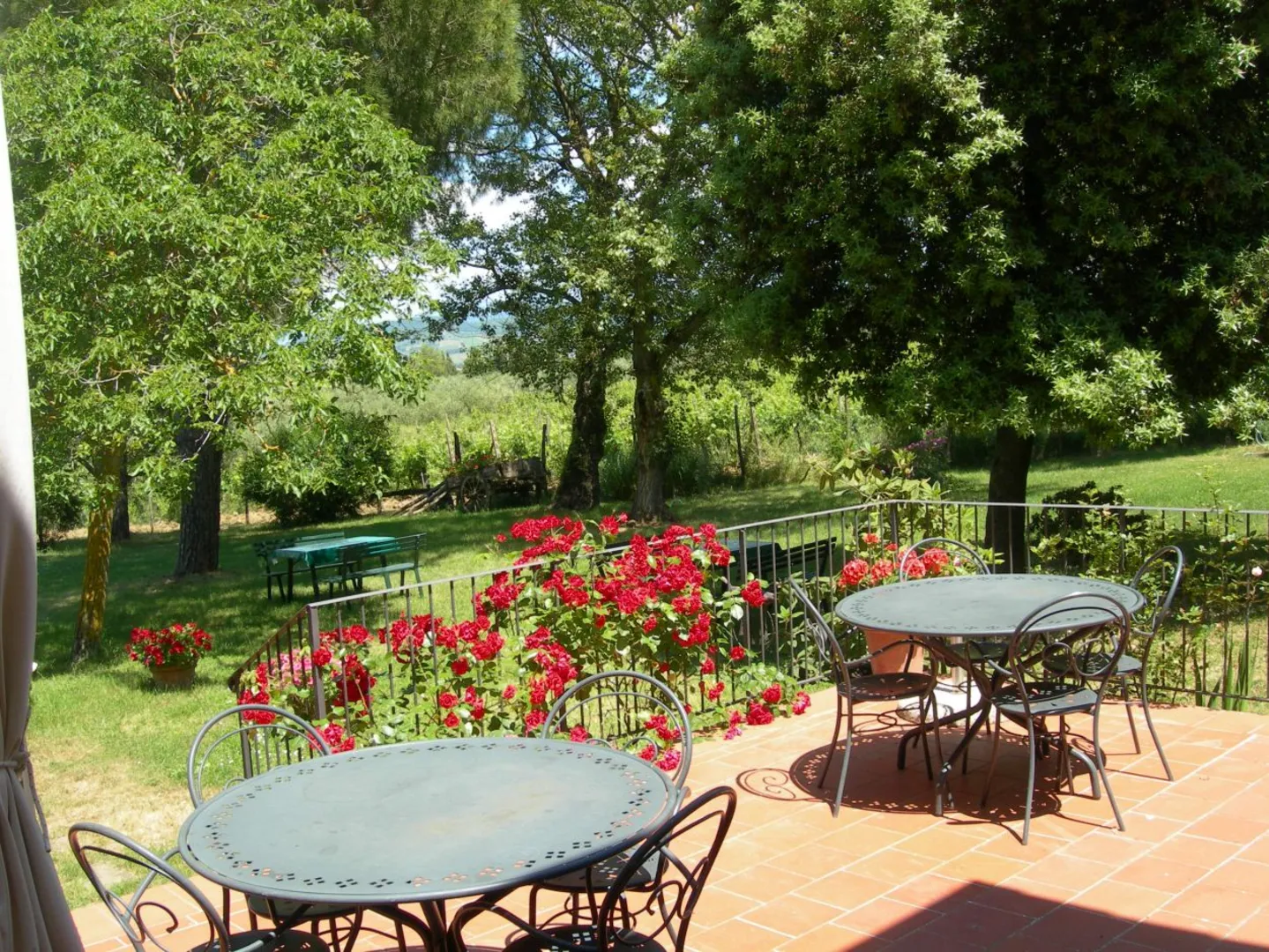 Agriturismo Poggio al Chiuso afbeelding 4