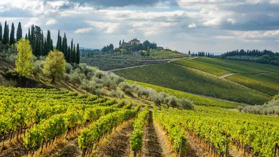 Radda in Chianti 1