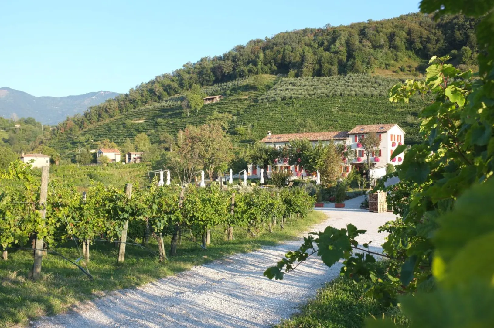 Relais Duca di Dolle afbeelding 2