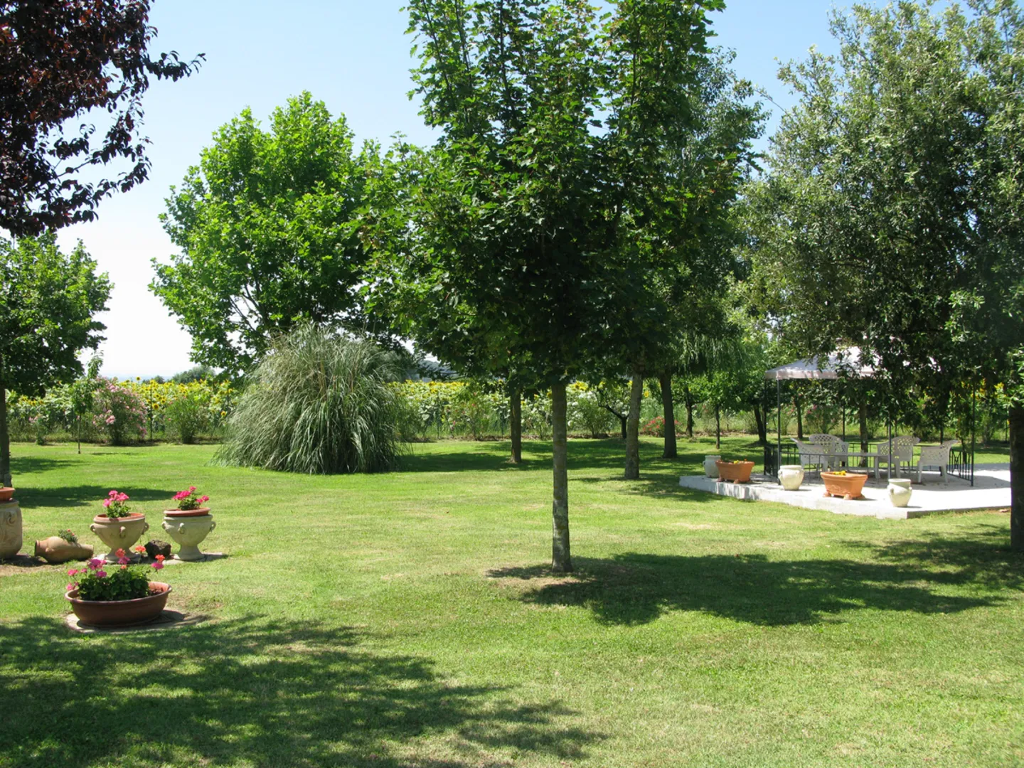 Residenze San Martino afbeelding 4