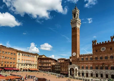 Siena 1