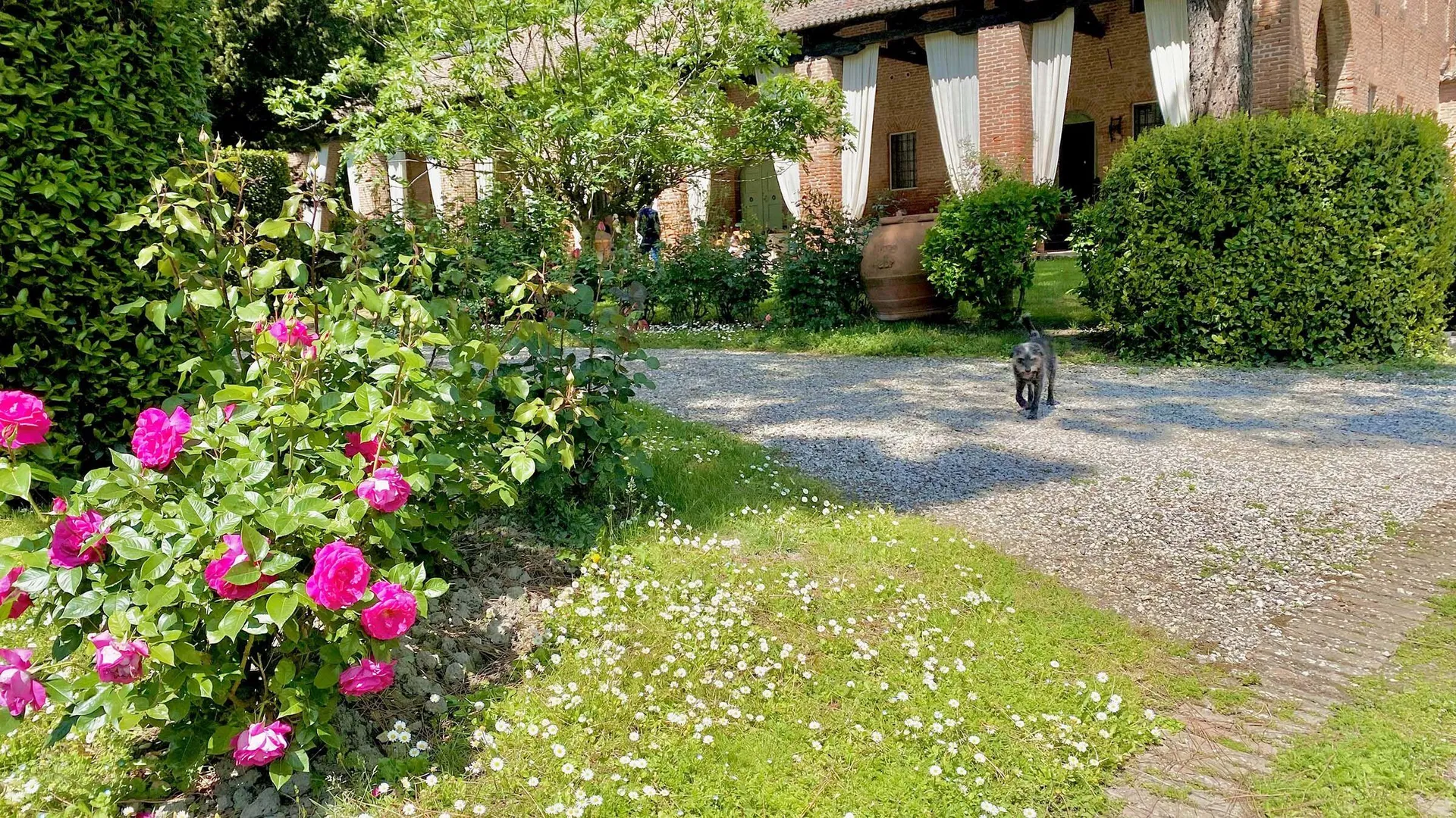 Tenuta Castel Venezze B&B afbeelding 3