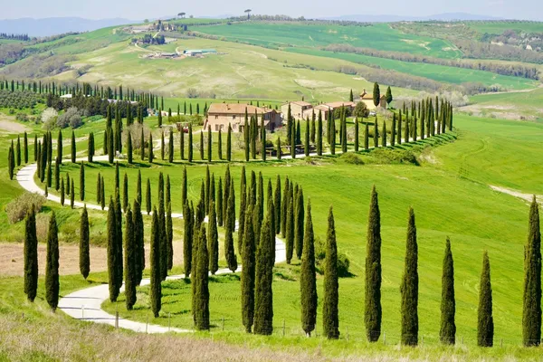 Toscane landschap 3