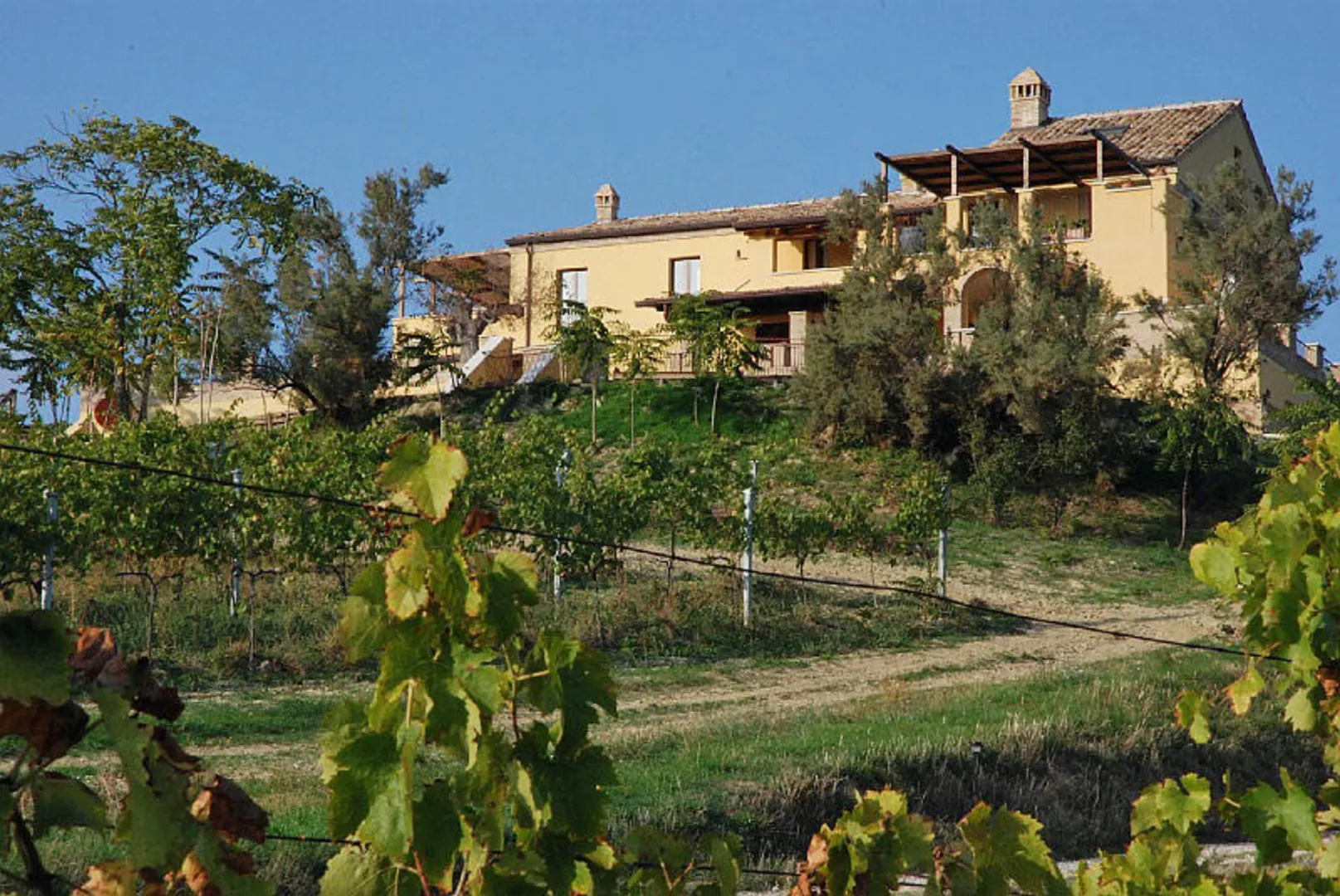 Vigne Costadoro Resort, Casale dei Fiori afbeelding 3