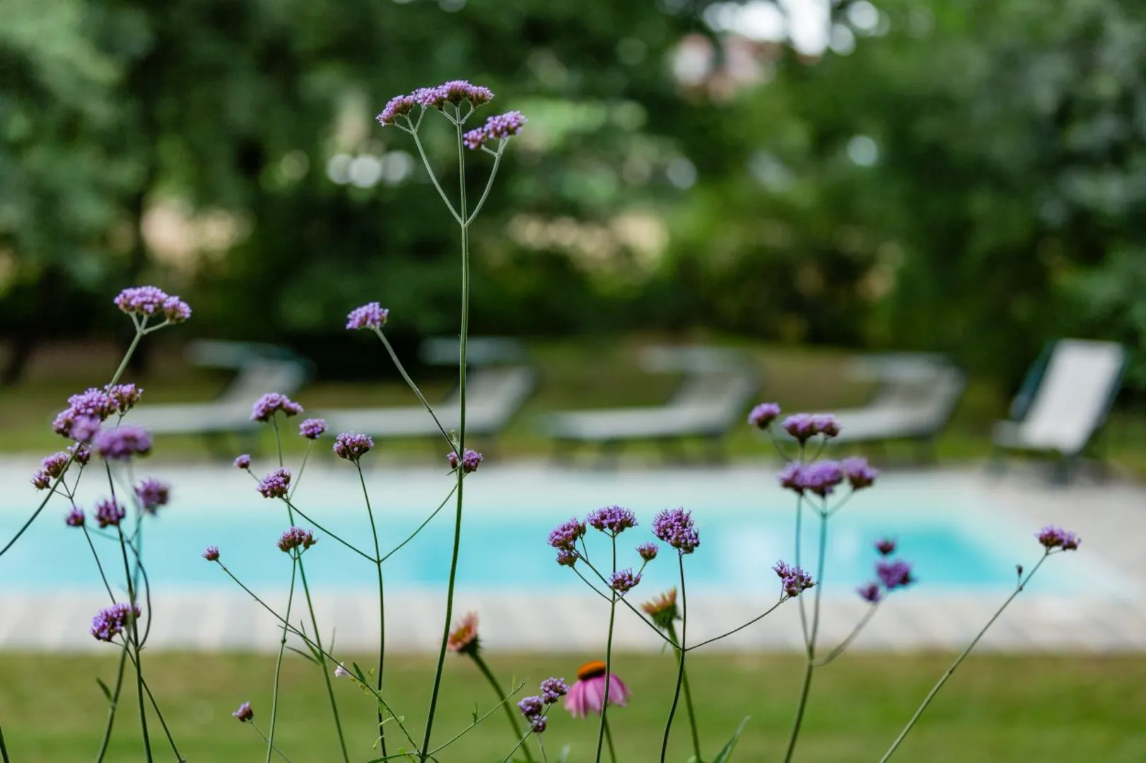 Villa Casa Ilenia afbeelding 2