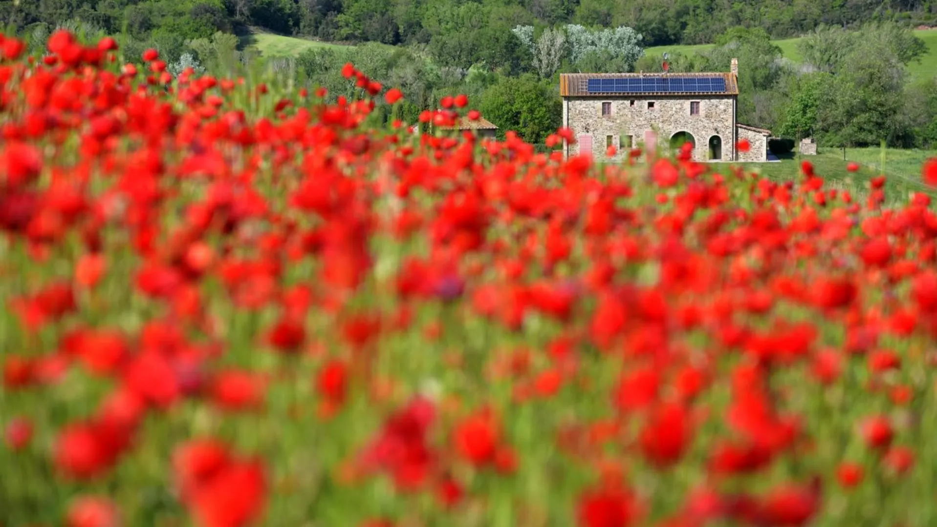Villa del Verrocchio afbeelding 3