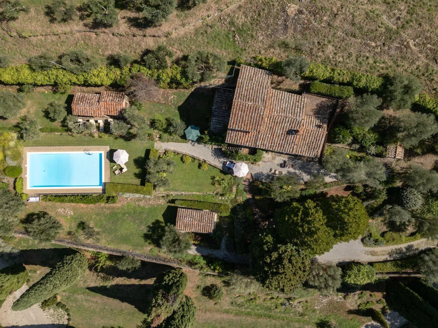 Villa delle Rose afbeelding 1