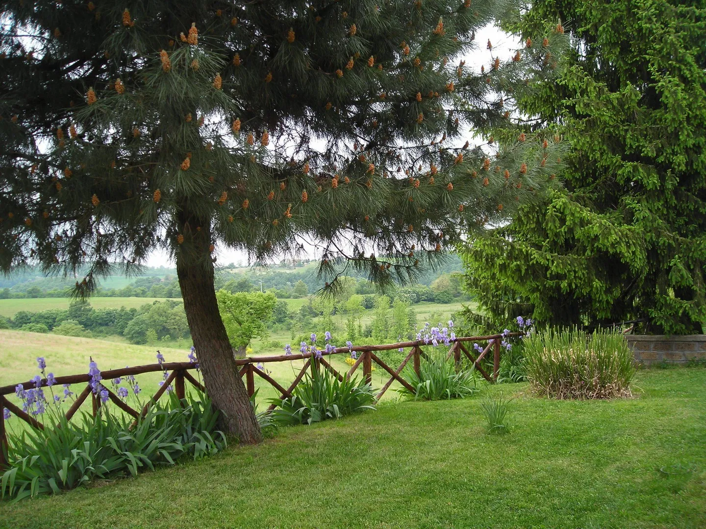 Villa Ginestrella afbeelding 4