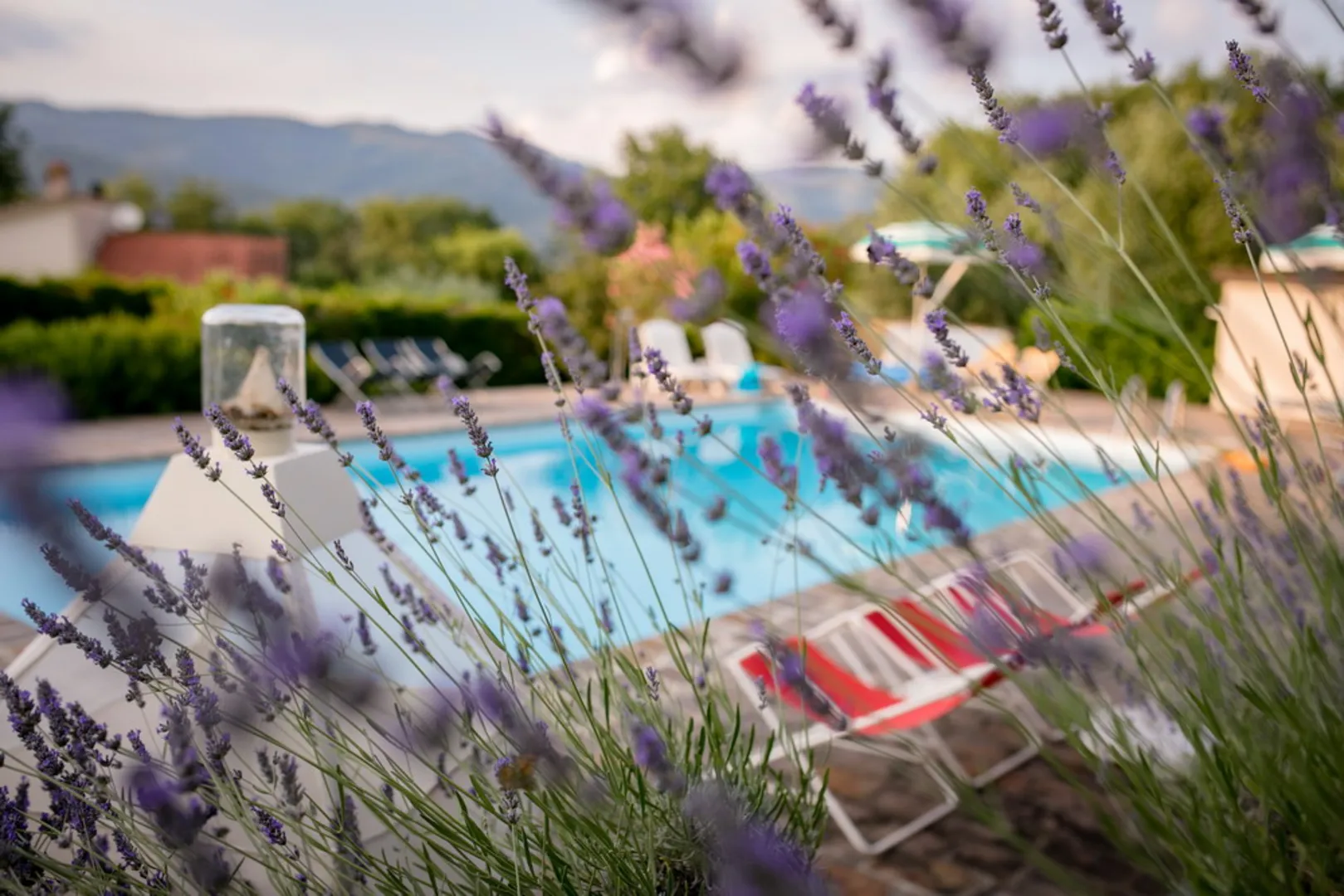 Villa Il Giardino delle Giare afbeelding 3