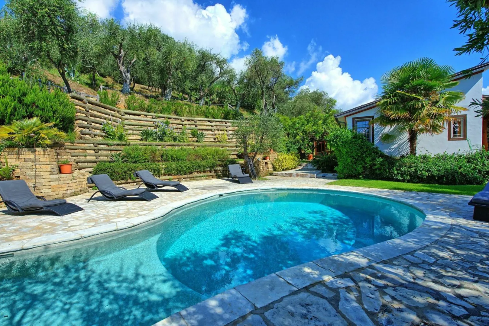 Villa Oliveta afbeelding 2