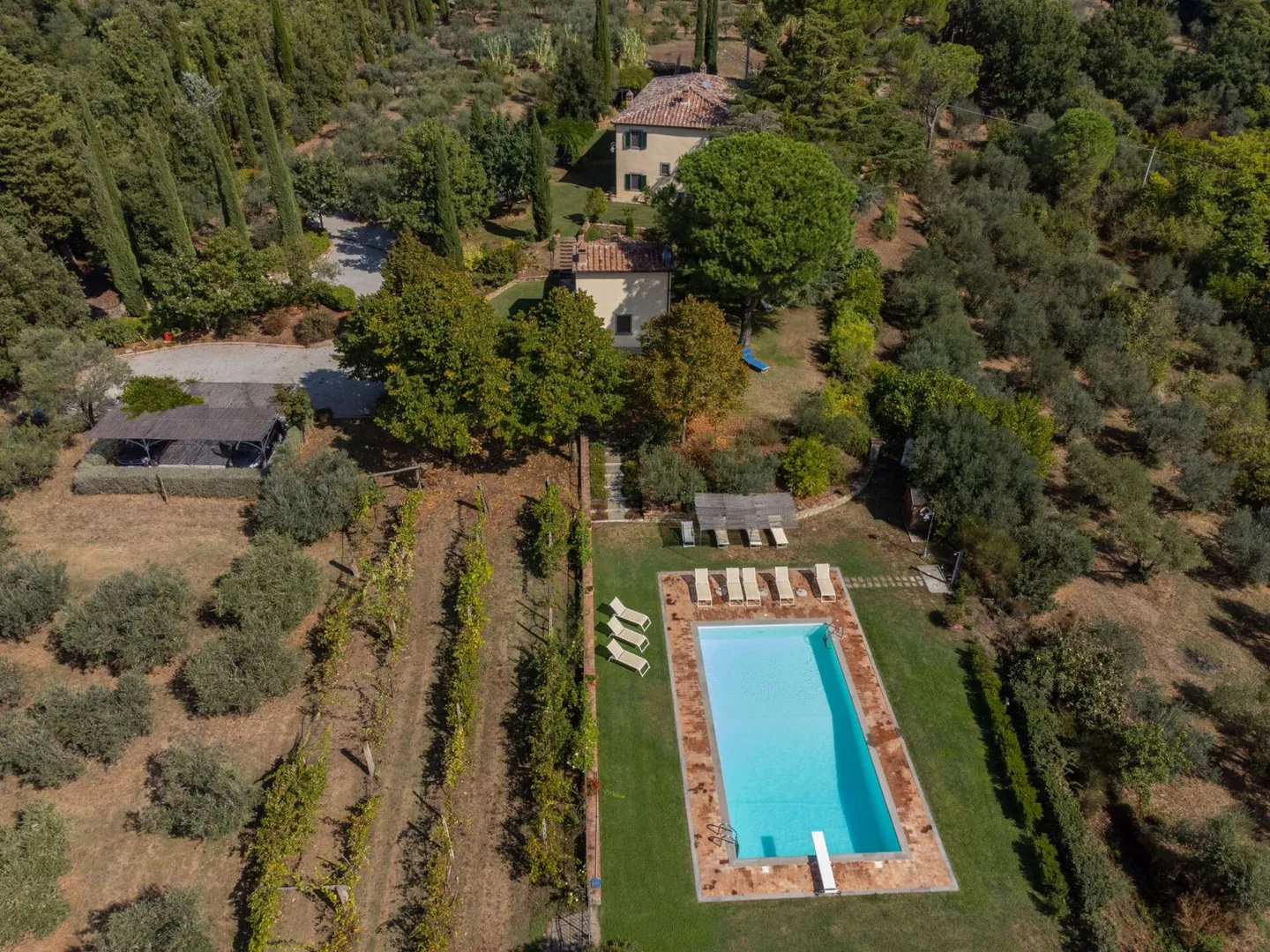Villa San Pietro afbeelding 4